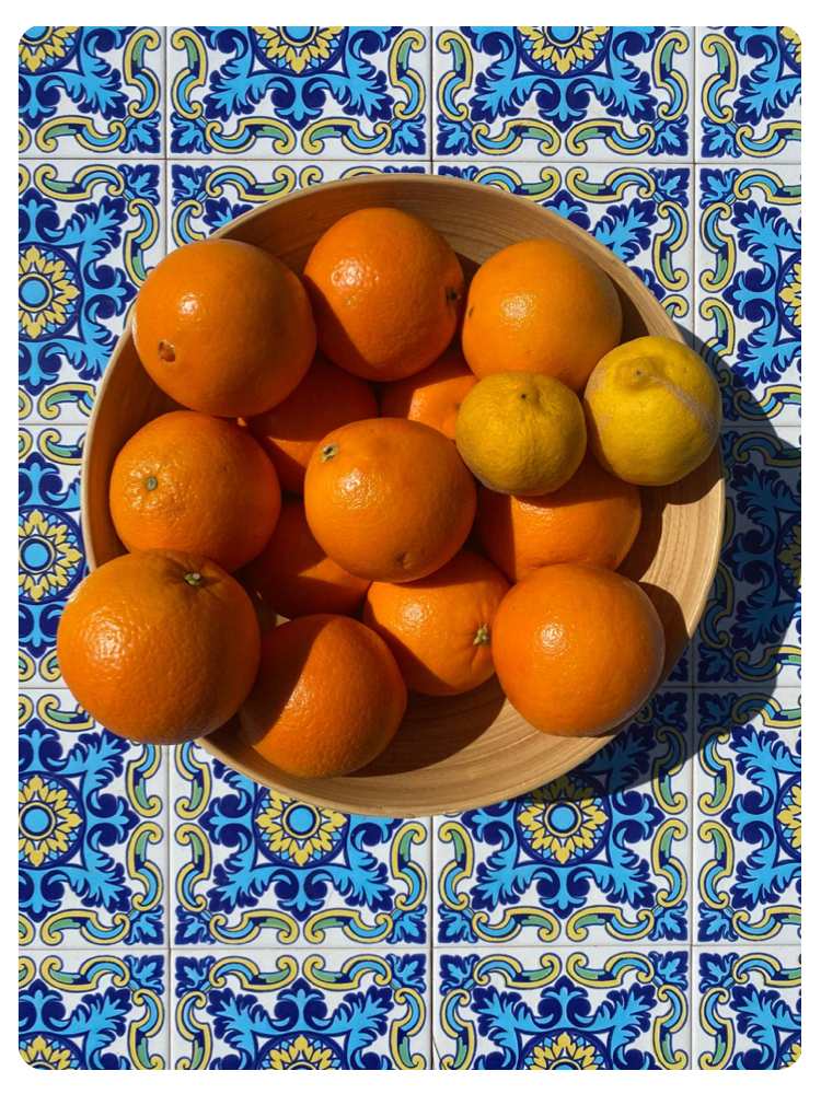 Polaroid Oranges Rounded