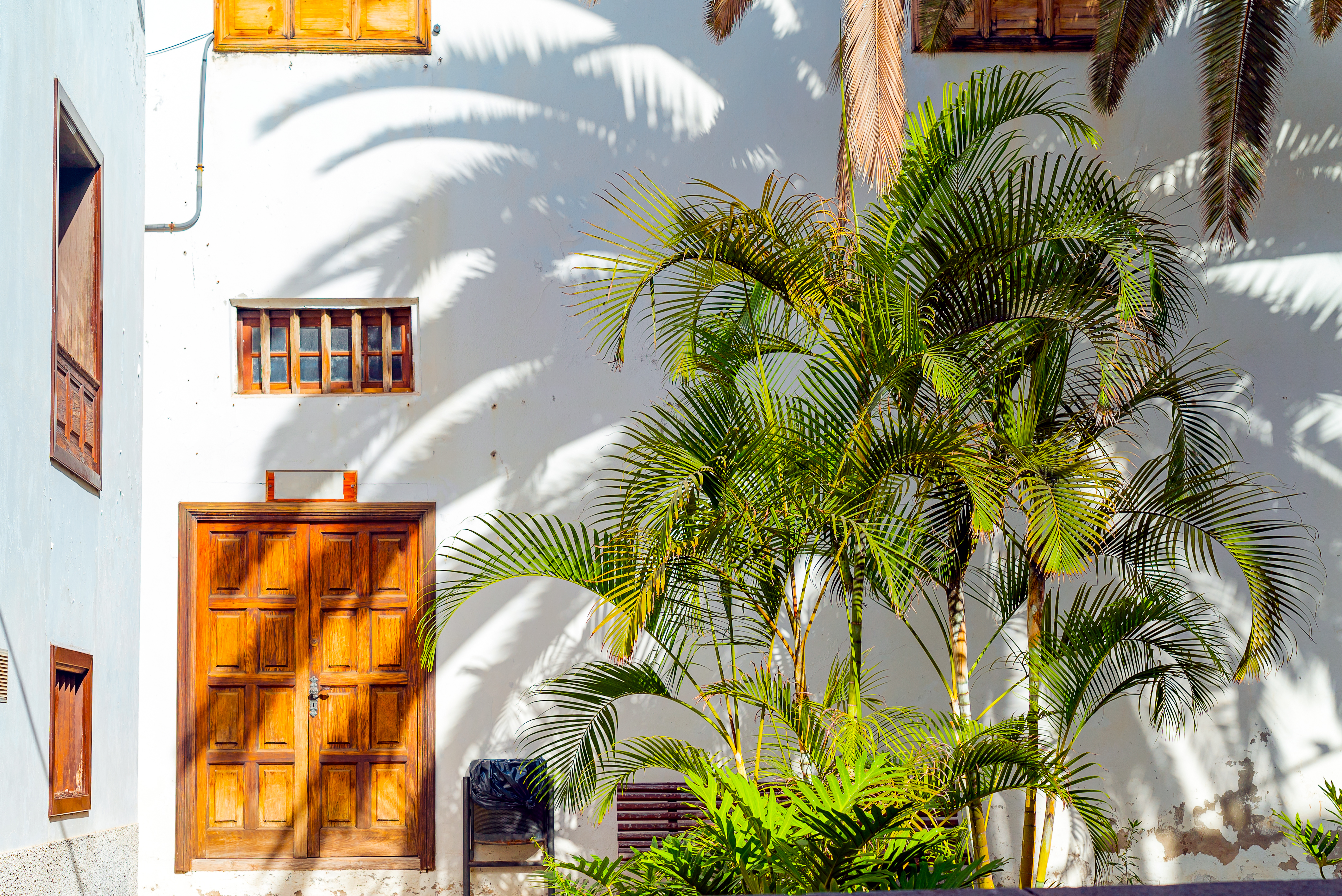 Small Spanish Patio With Palm Trees Banch Old Wooden Door Windows Garachico Spain